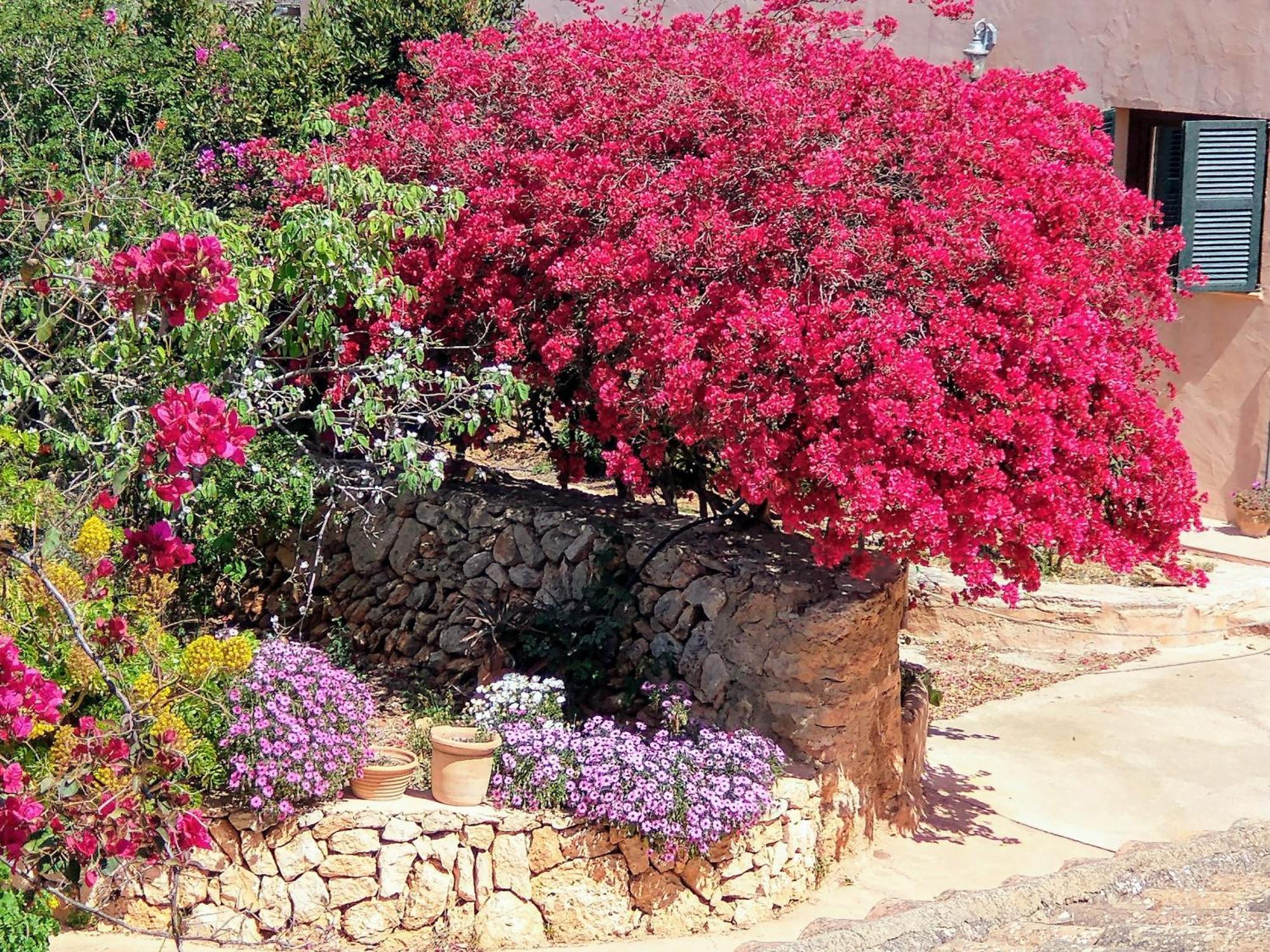 Finca Son Marimon (Adults Only) Santanyi Exterior photo