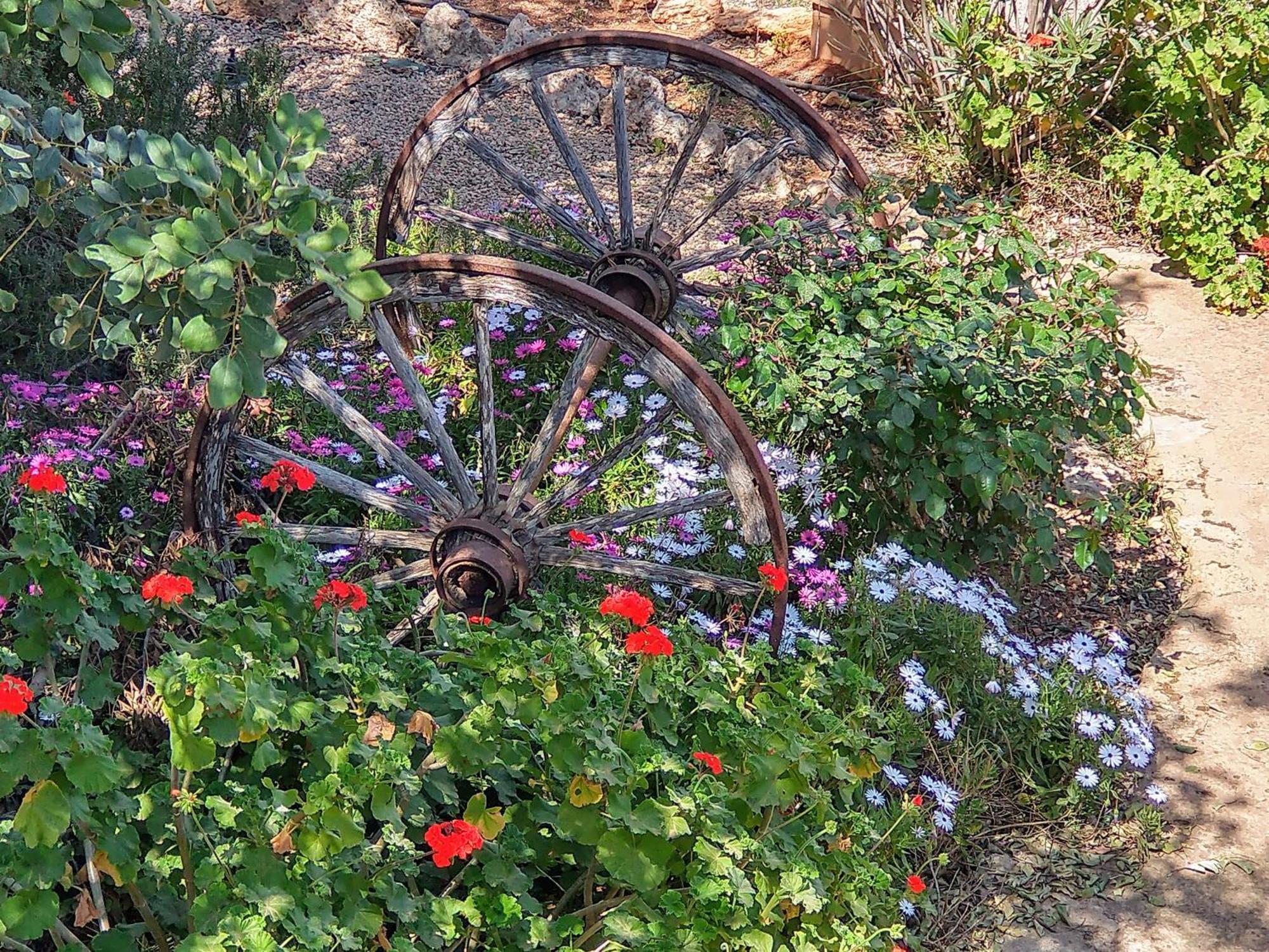 Finca Son Marimon (Adults Only) Santanyi Exterior photo