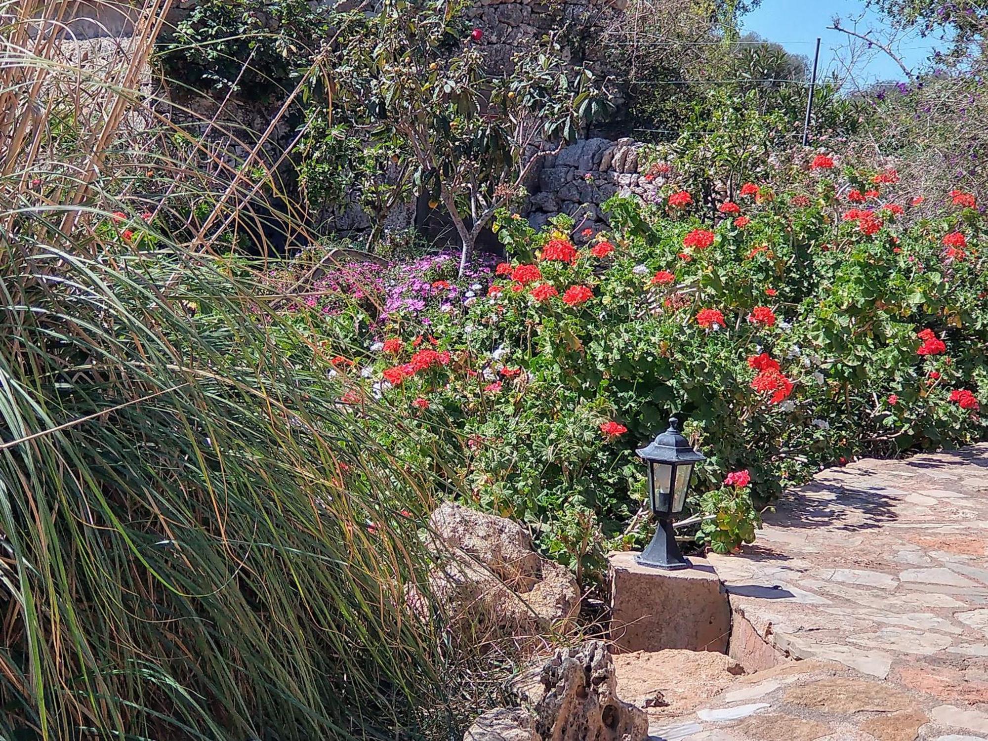 Finca Son Marimon (Adults Only) Santanyi Exterior photo
