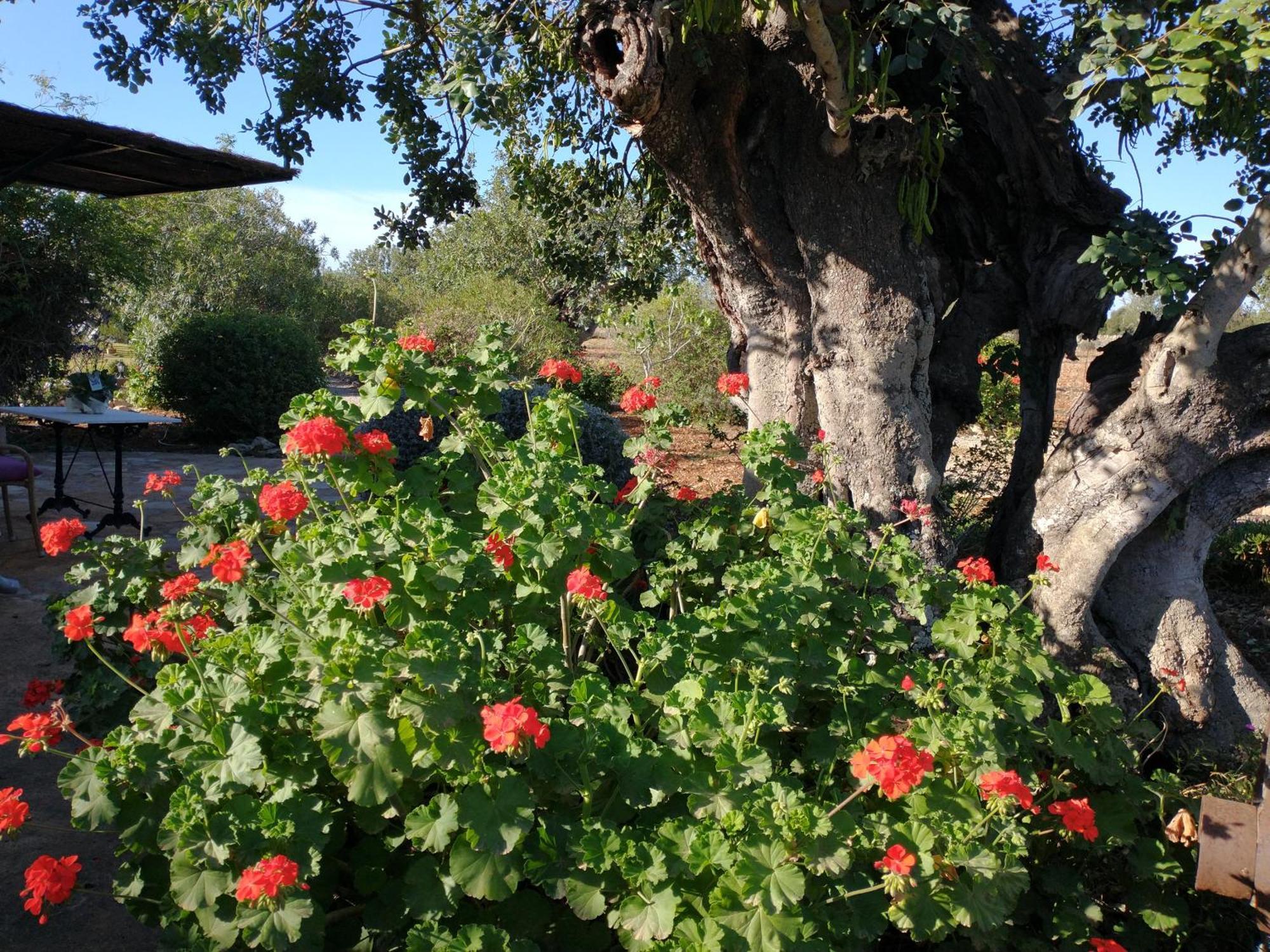 Finca Son Marimon (Adults Only) Santanyi Exterior photo